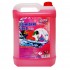 Detergent de vase fructe de padure 5 L